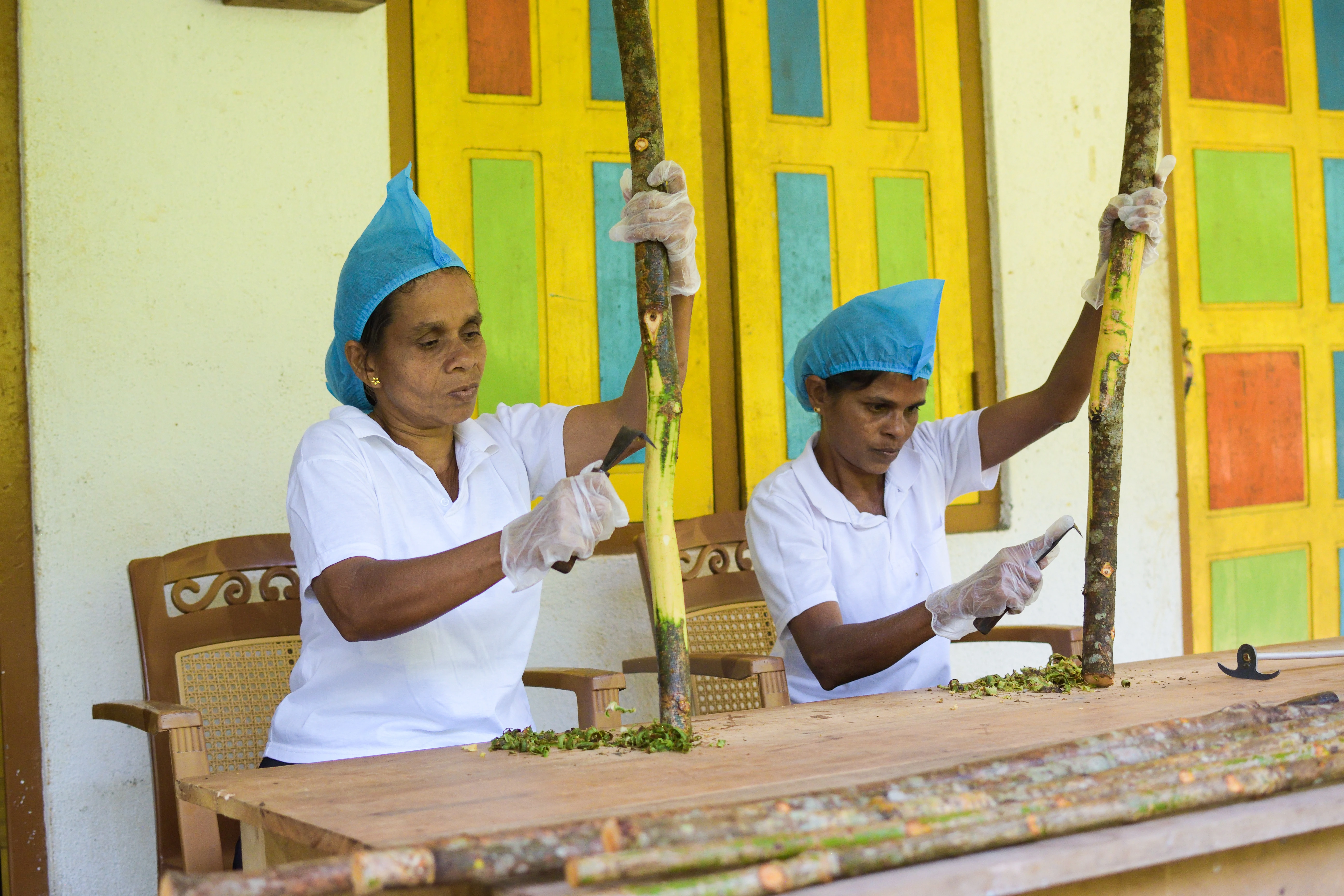 Education and Skills Development