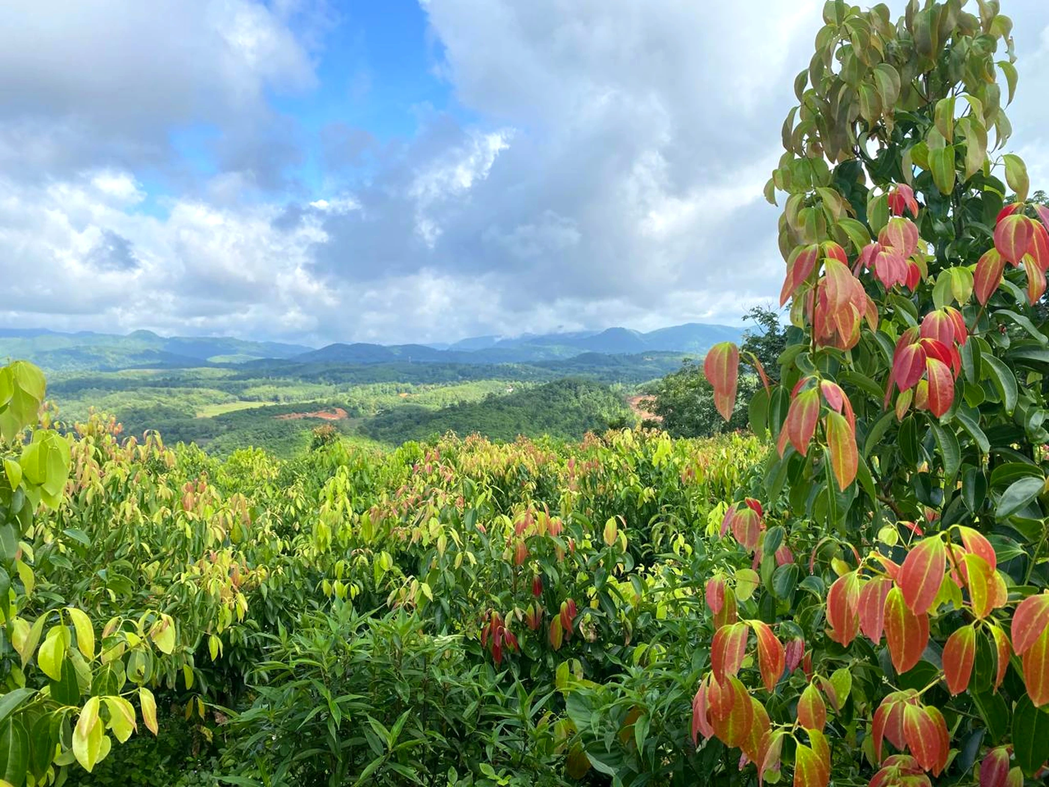 Community Investment