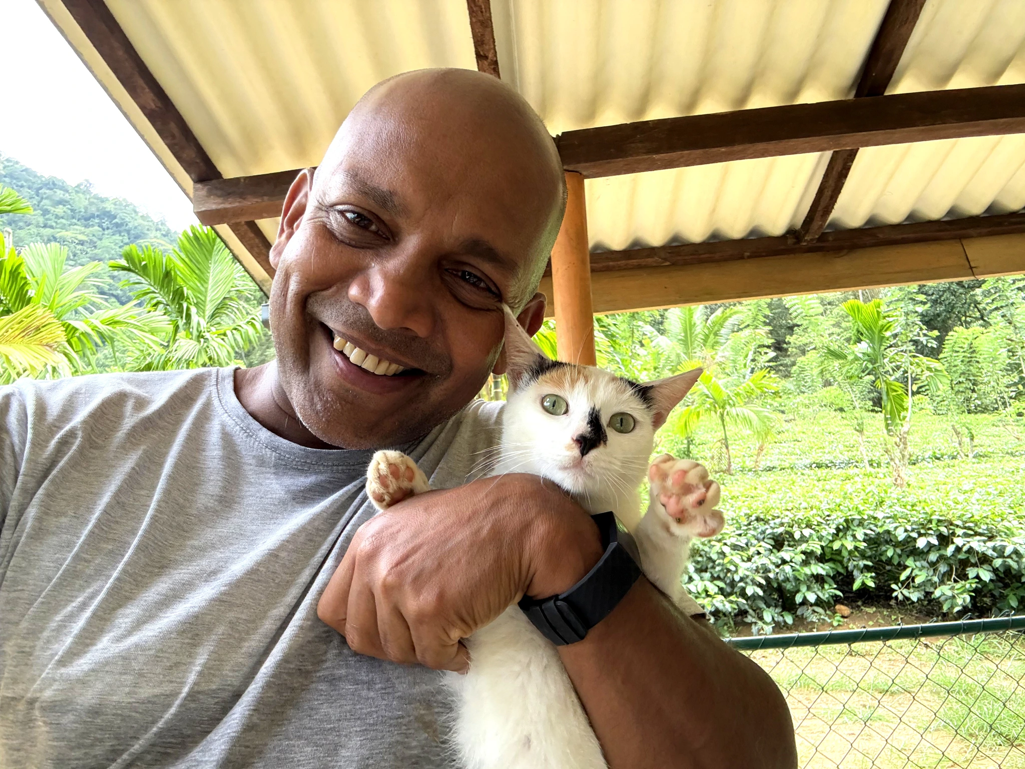 Uruwala Estate Plantation