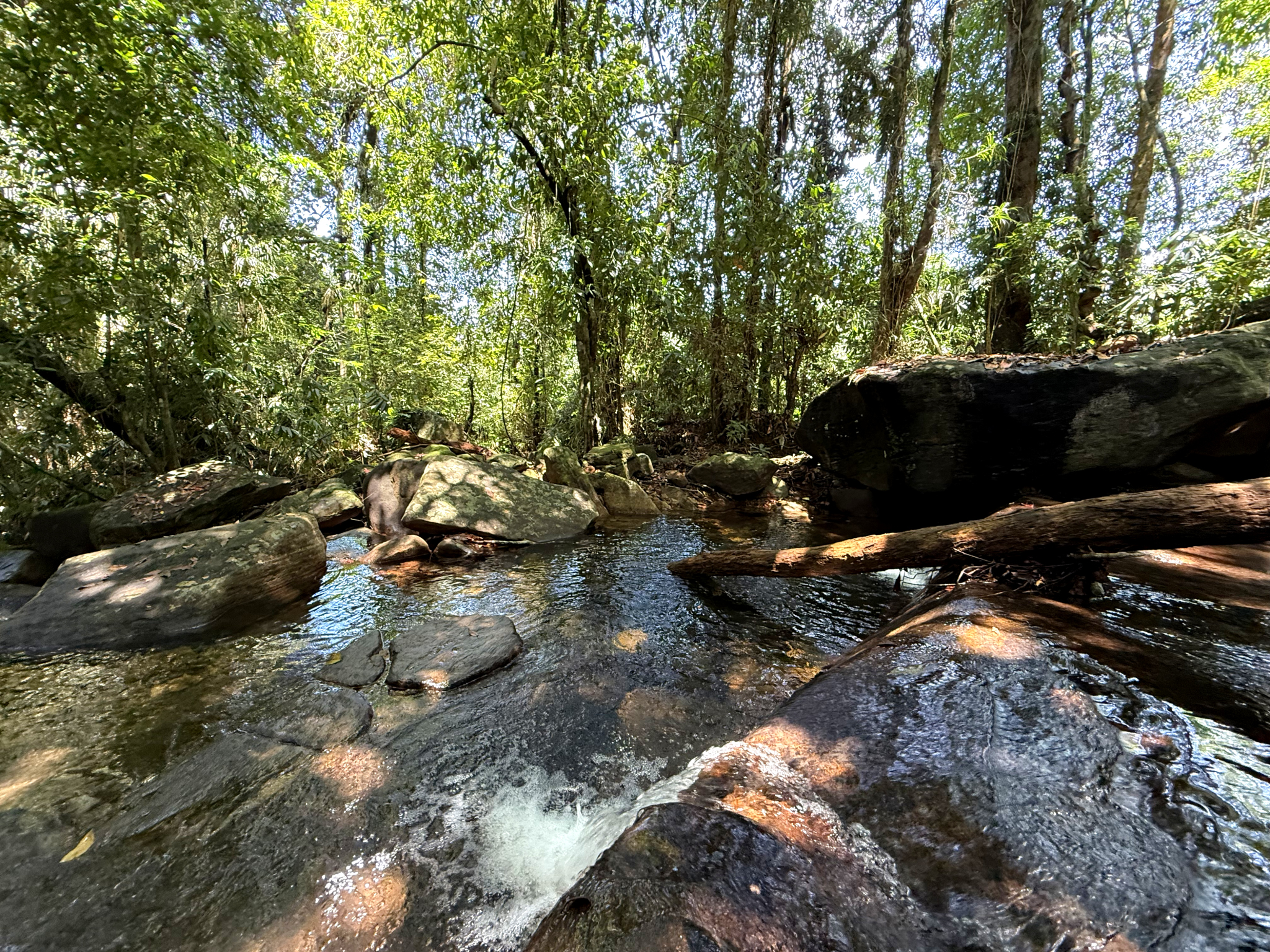 Tourists on guided plantation tour